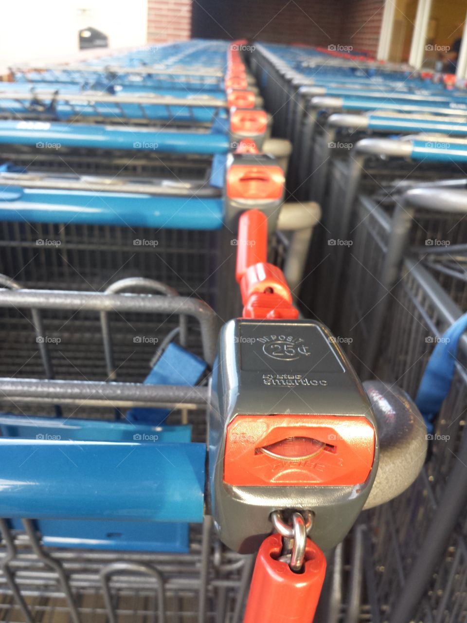 Aldi's Shopping Carts