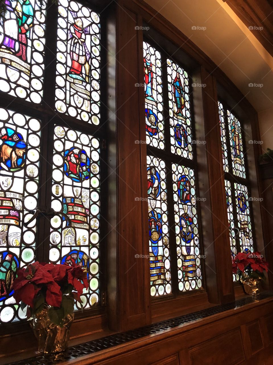 Poinsettia and Stained Glass 