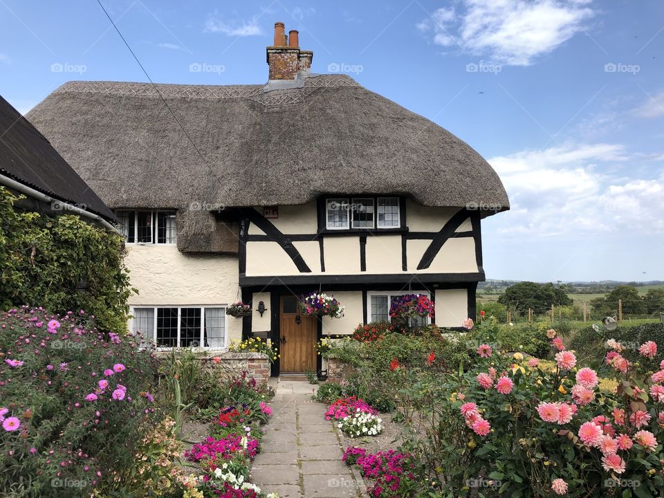 Adorable thatched cottage 