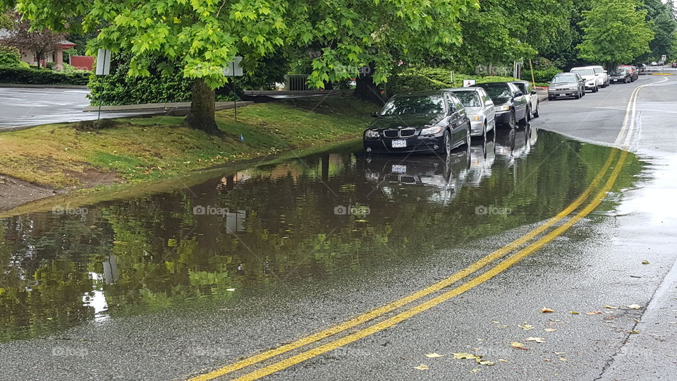 flood puddle