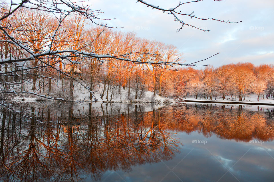 Winter Wonderland after the first snow