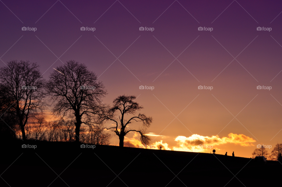 landscape sky tree sunset by gaguling