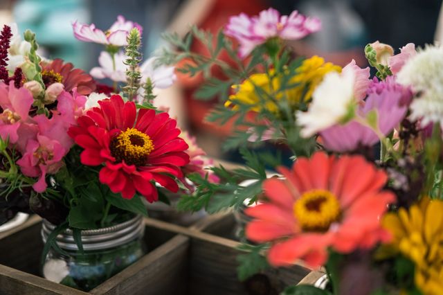 Flowers in Jars