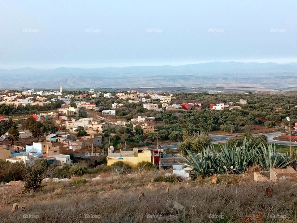 Population between the nature