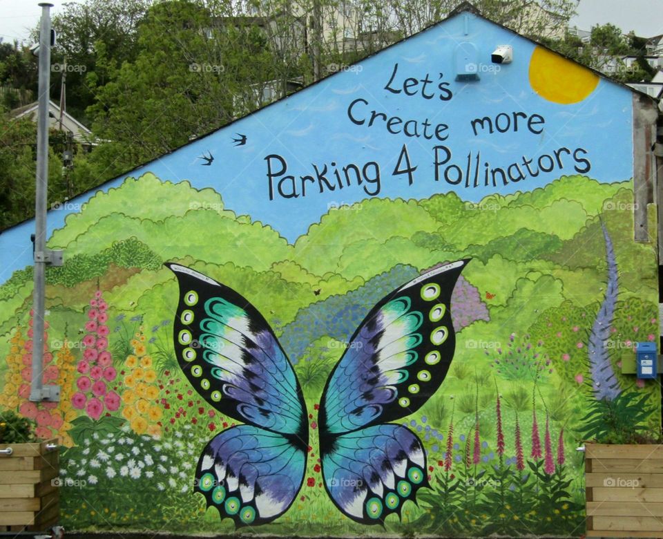Pretty butterfly Street art and sending a message for everyone to plant more plants and flowers for butterfly's bee's etc to help the planet π¦π