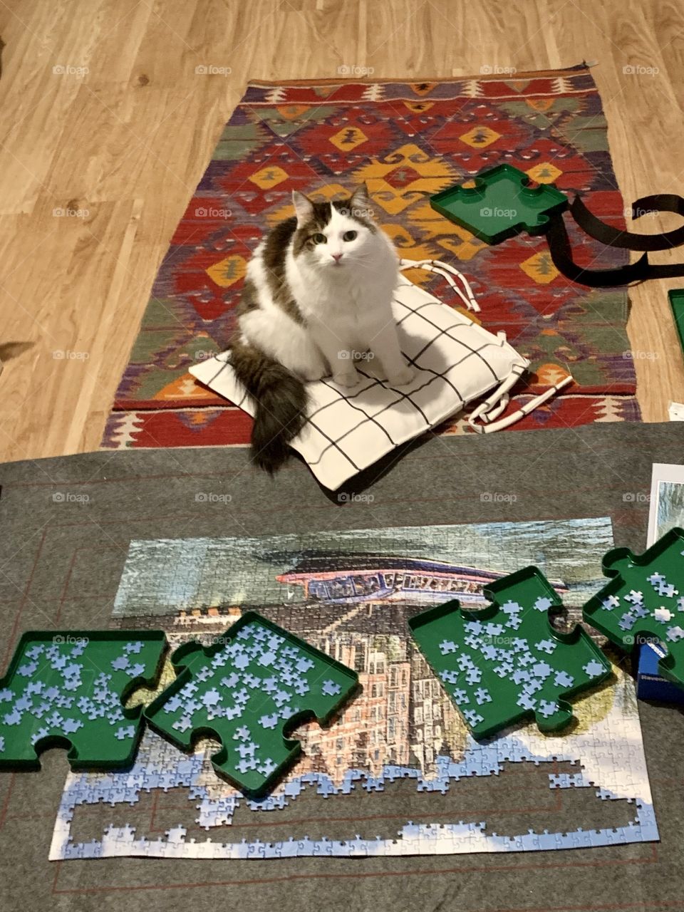 Cat sitting by the puzzle
