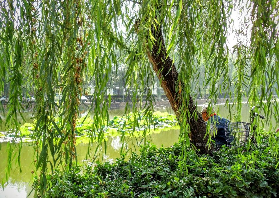 Restful place at Beijing lake