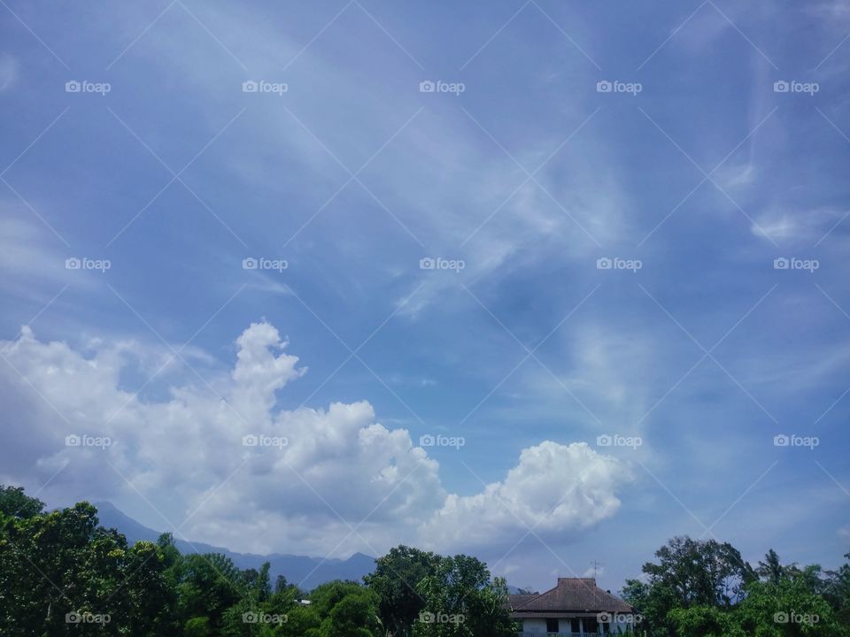 nature bluesky landscape