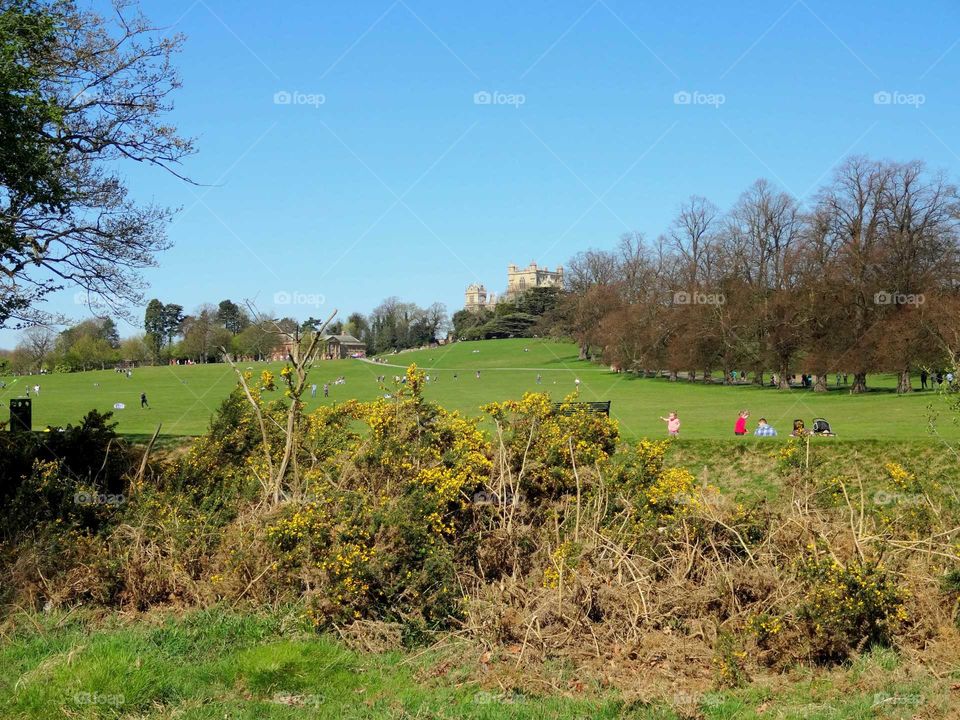 landscape of family leisure activities