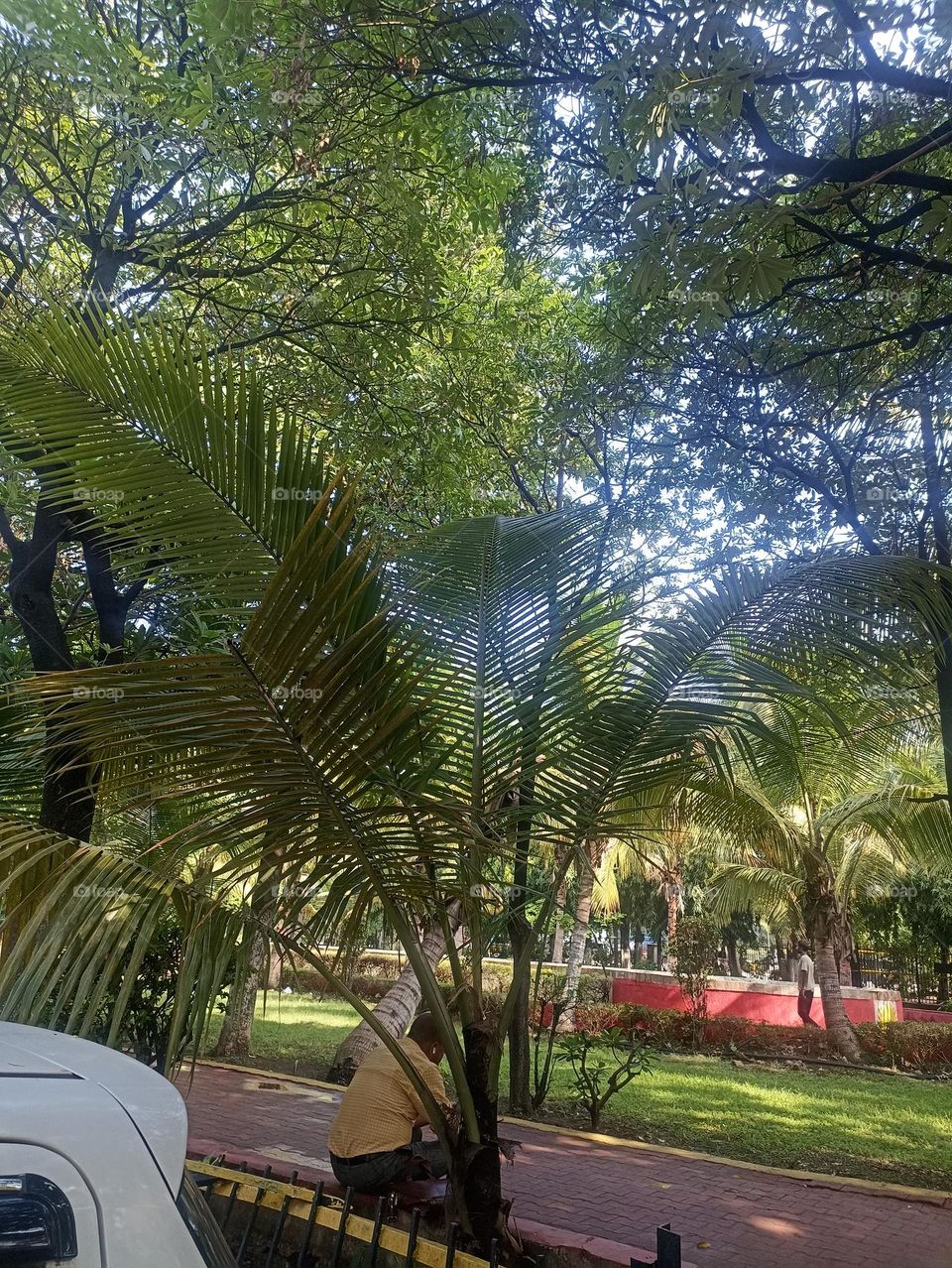 A morning walk's best friendly behavior is to be done for yourself. increases new thoughts, positive mood, normal blood pressure, healthy for the heart, stress free, and many more things can be solved.