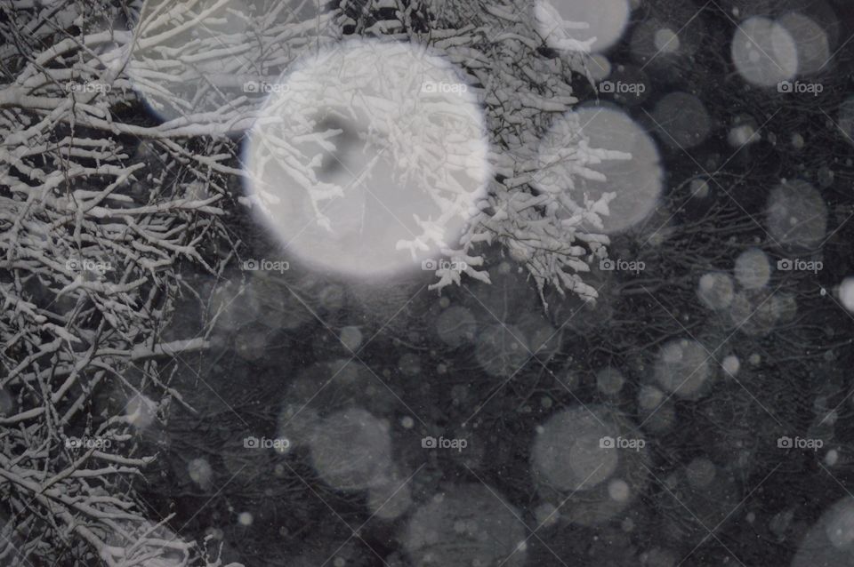 Night "fall." 🌬🌨❄️☃️