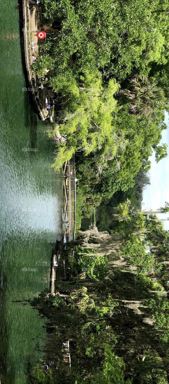 Lakeside Tranquility