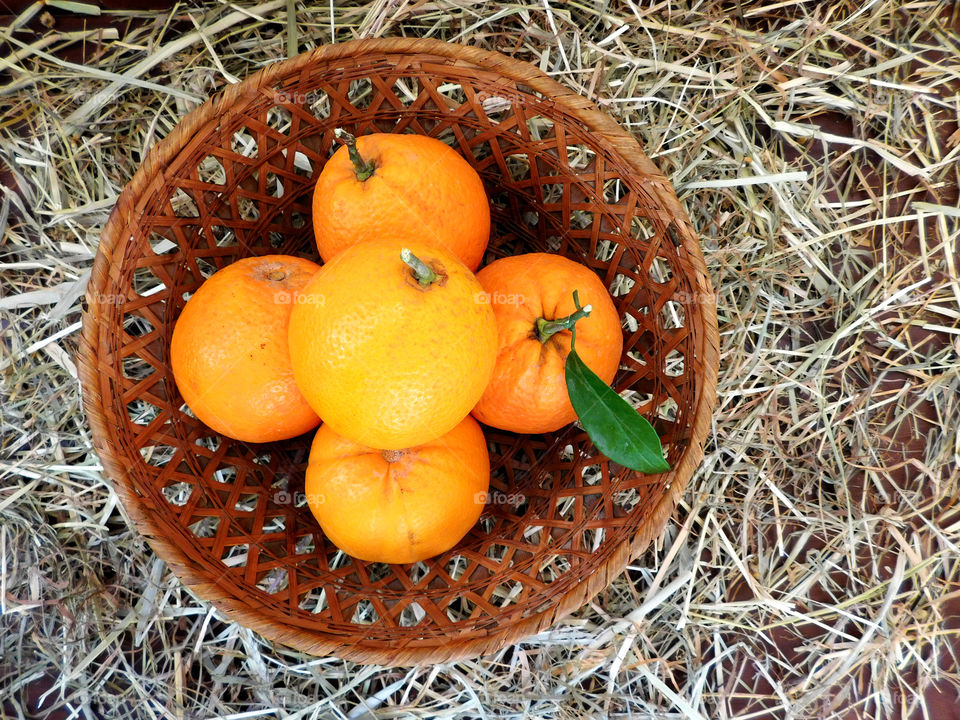 orange fruit