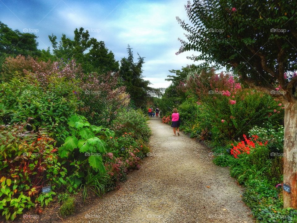 Garden France 