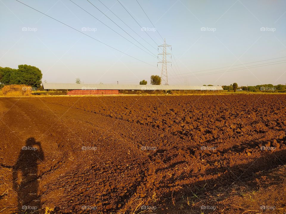 Farming view in summer season shows lack of water and heavy Sunshines