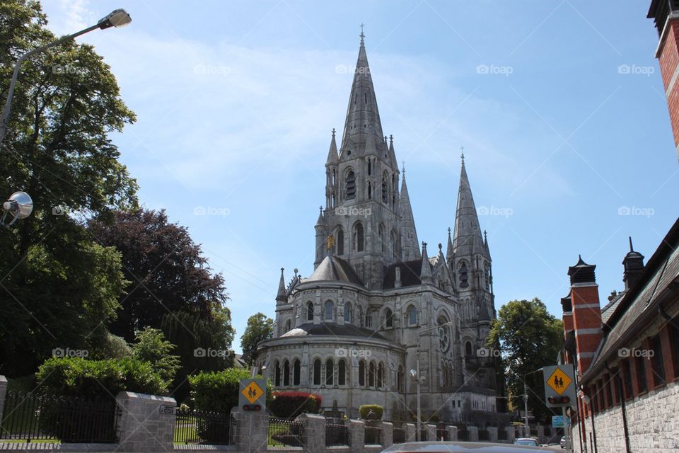 Cathedral of Cork 