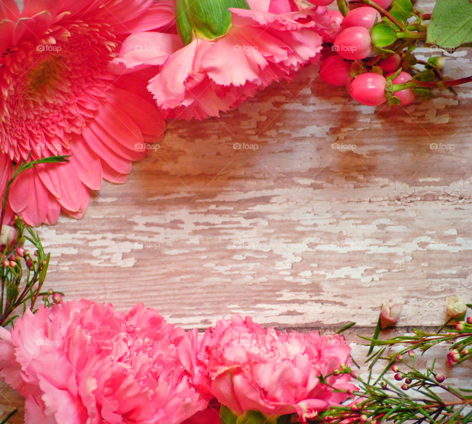 carnation and gerbera daisies