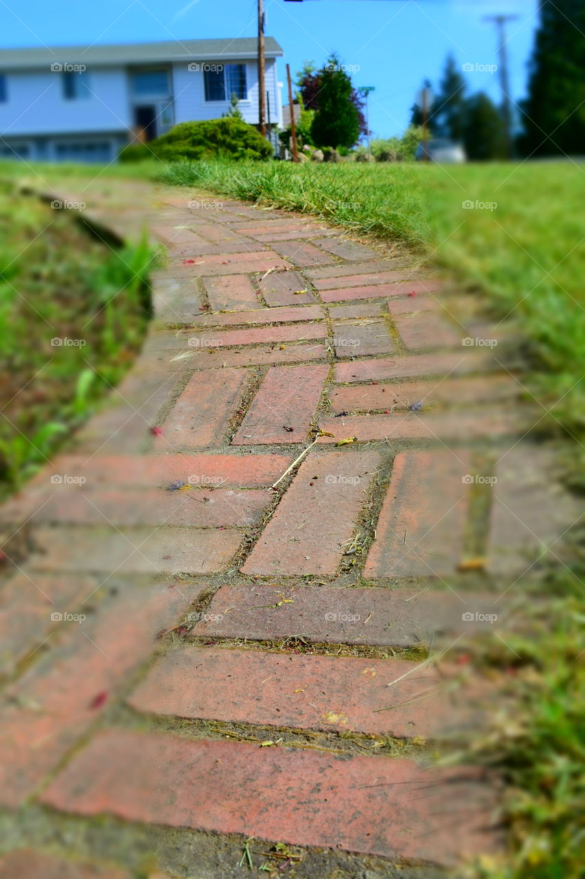 Red brick path
