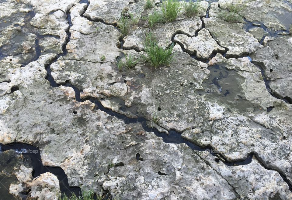 Dry cracked creek bed. 