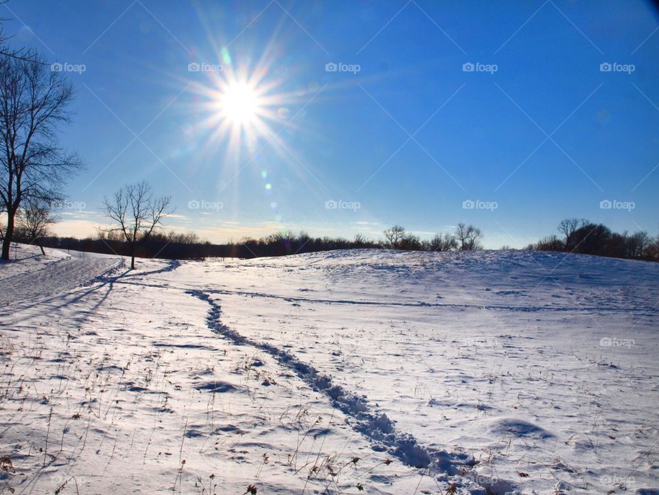 The path less traveled 