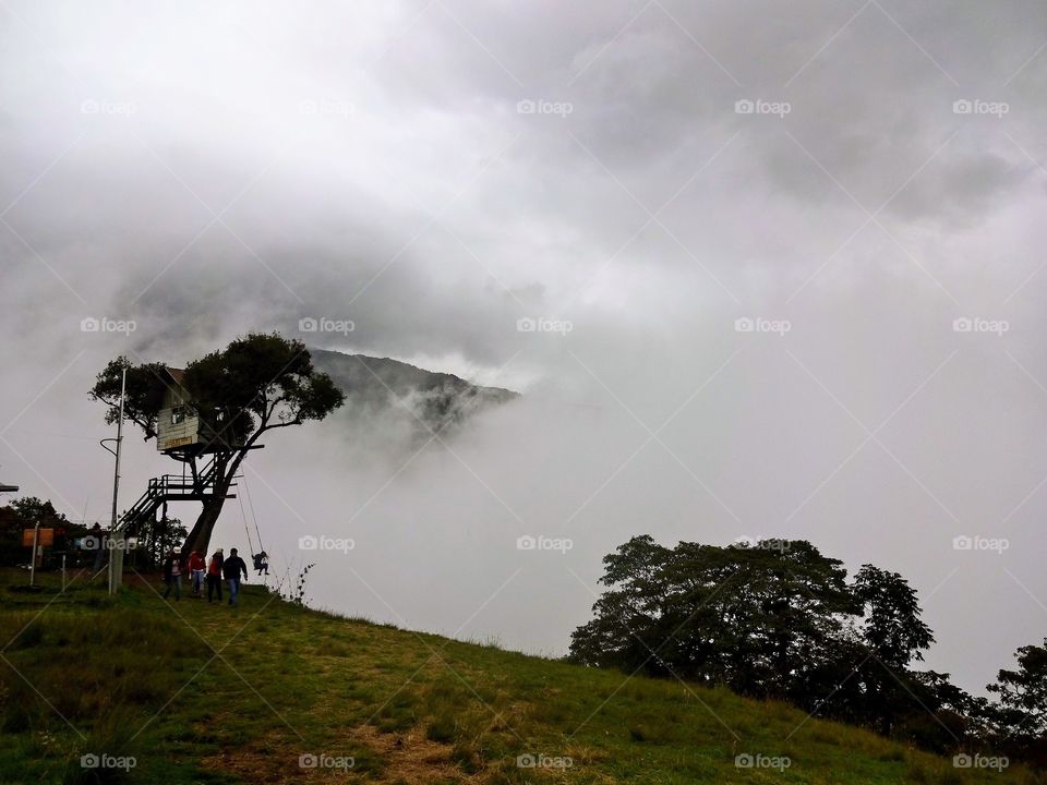 Treehouse swing in Ecuador 