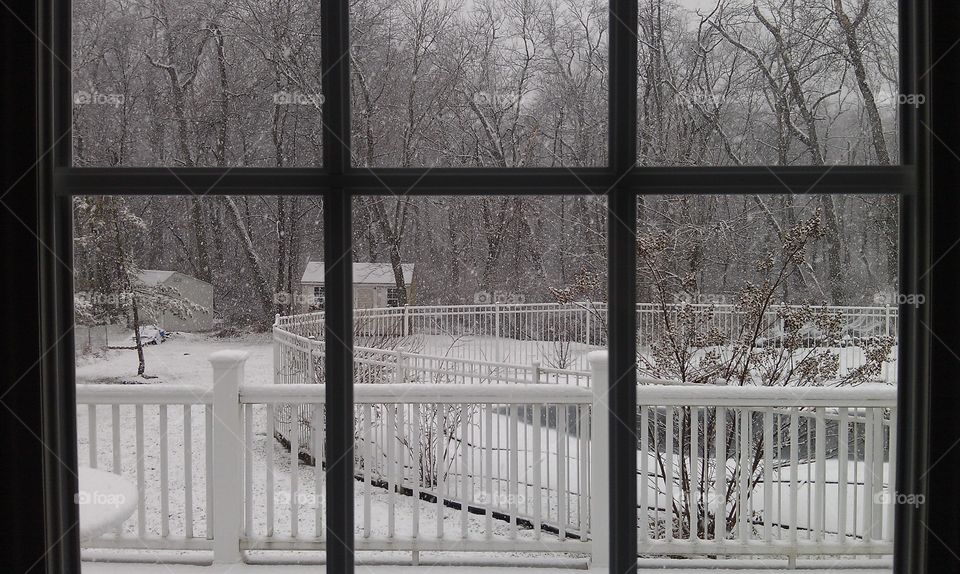 Window, No Person, Fence, Winter, Architecture