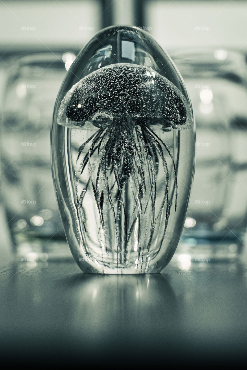 Black jellyfish in crystal