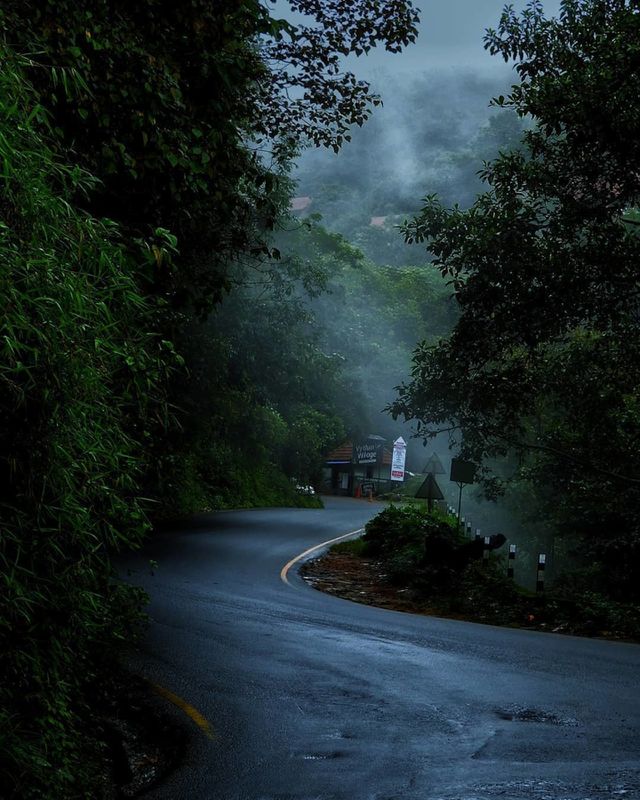 misty road way