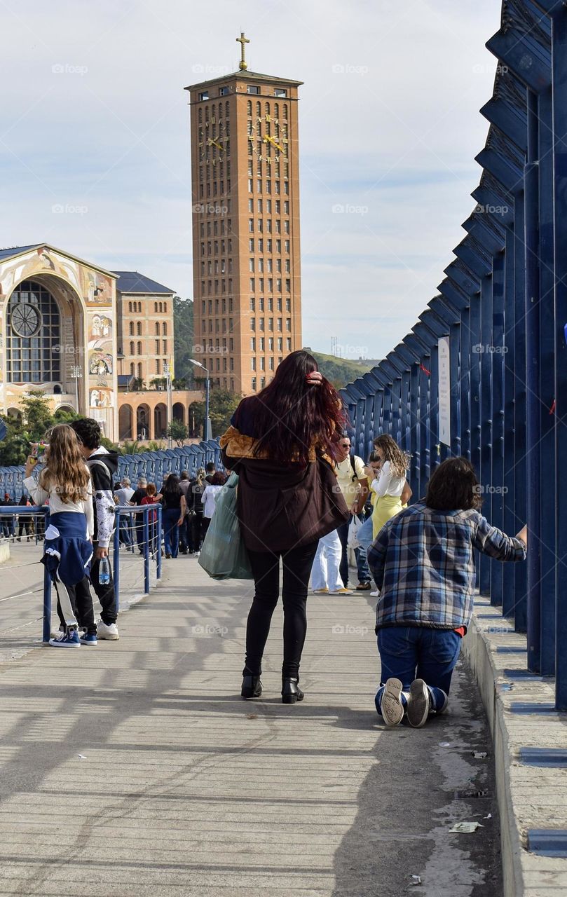 Basilic Aparecida São Paulo Brazil 