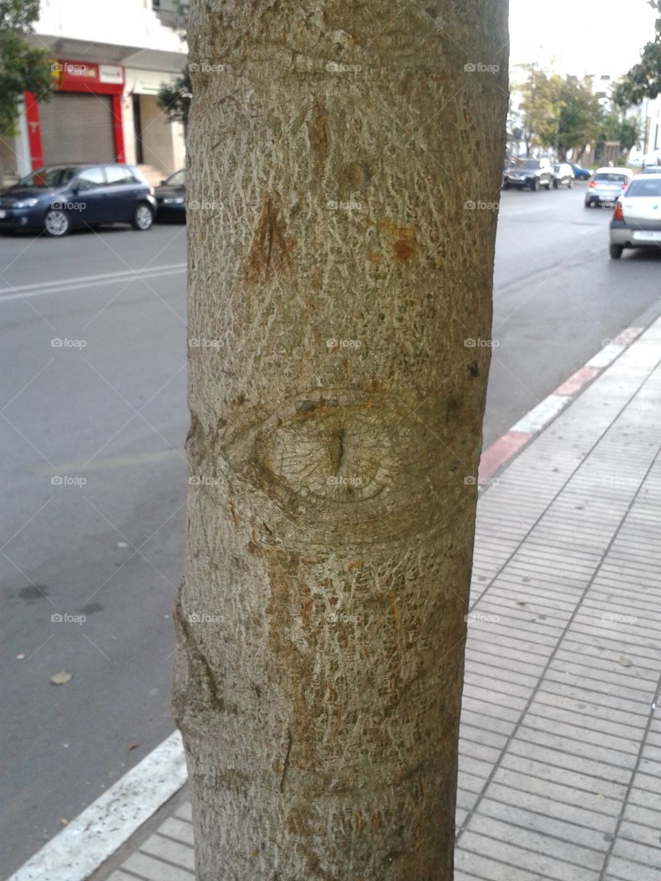 Rabat agdal  Morocco