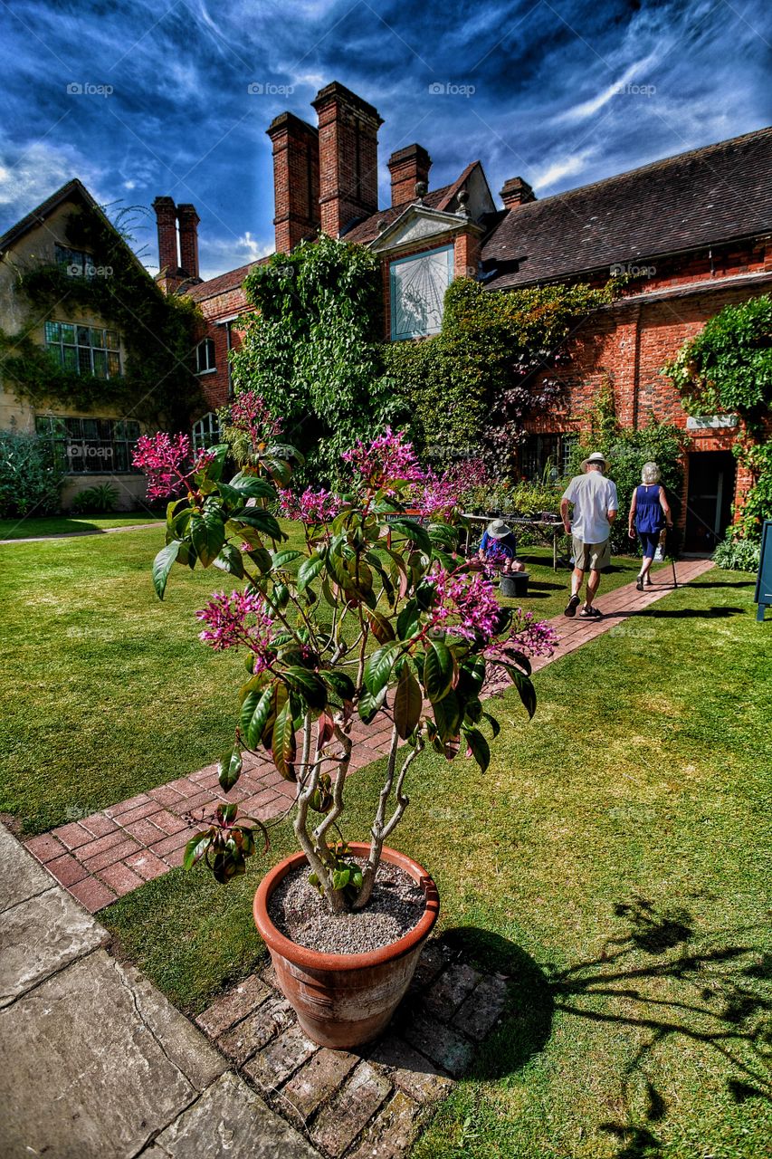 Garden, Architecture, House, Flower, Building