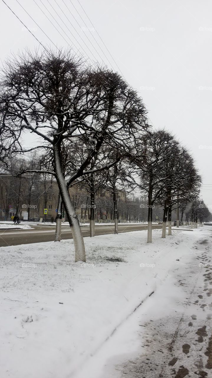 Winter landscape in Cheboksary