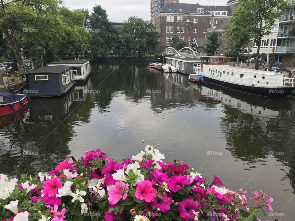 Houseboats on a canal in Amsterdam 