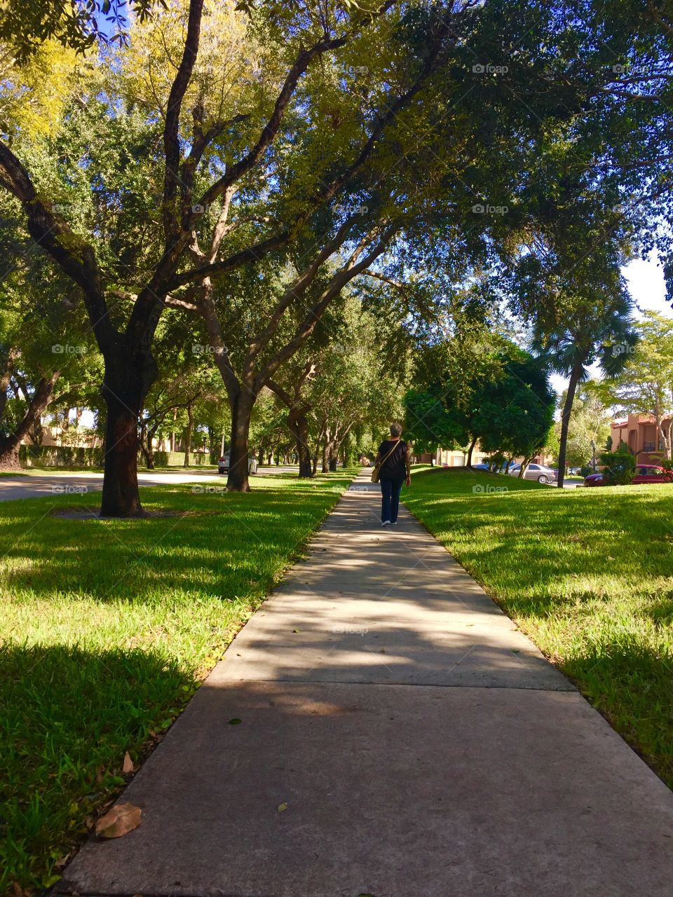 Wonderlust exploring the world around