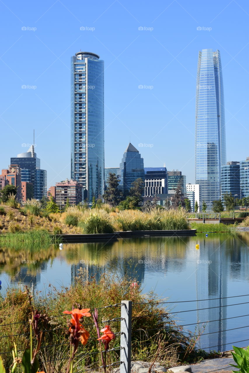 Reflections in the park lagoon