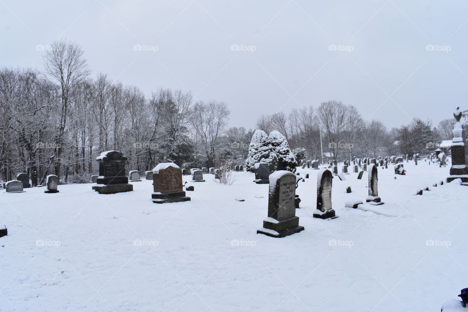 winter graveyard