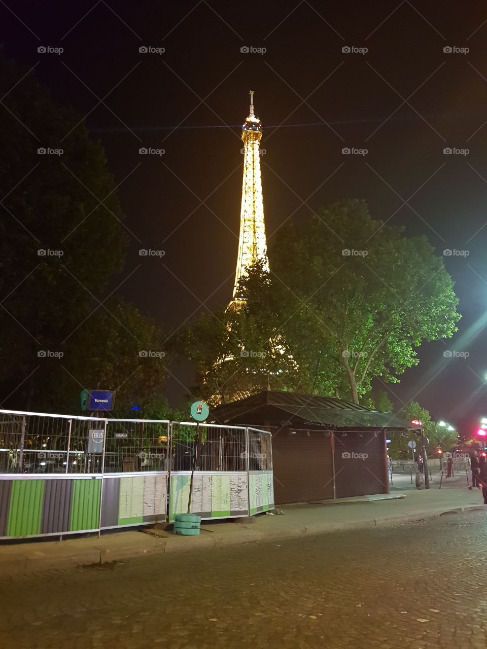 The Eiffel Tower behind the trees