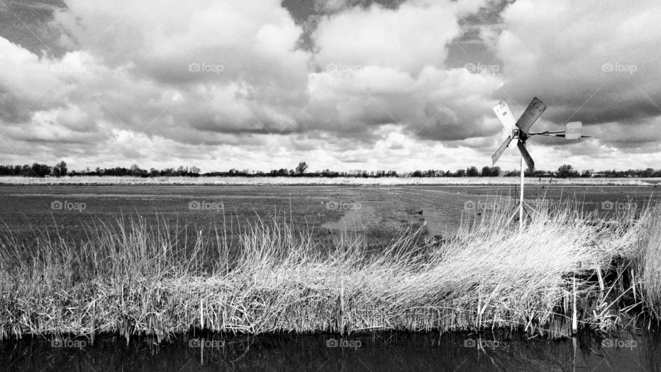 pasture wind mill in meadow landscape