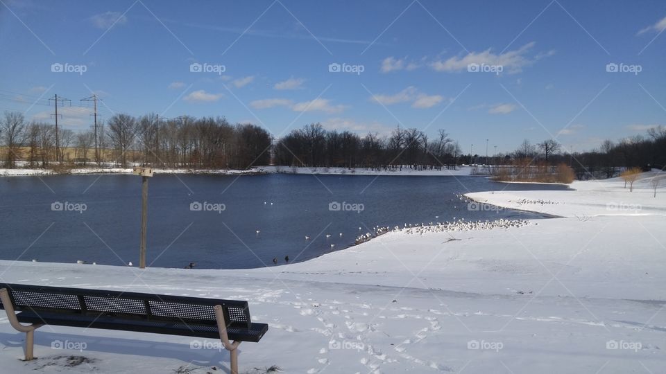 winter lake