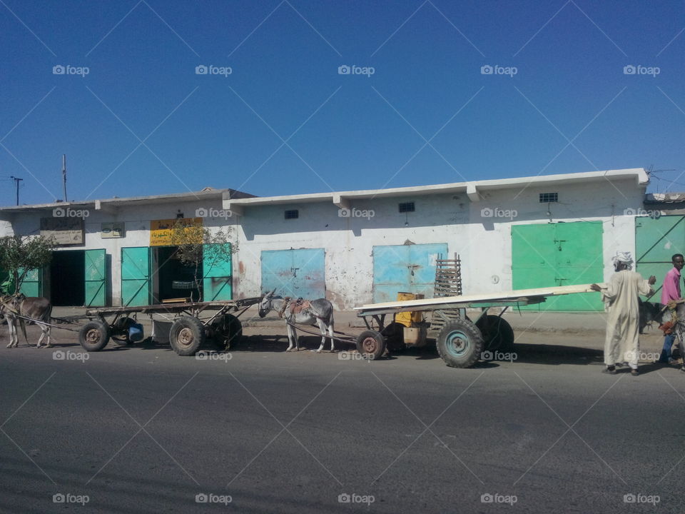 Donkey transportion vehicle, Sudan