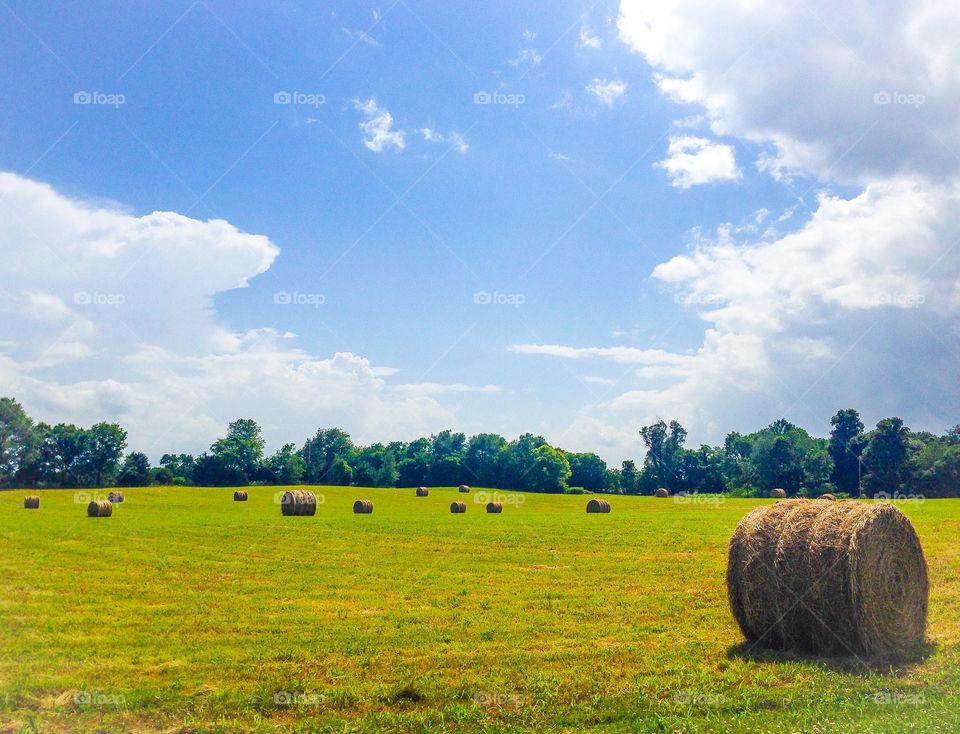 Farm field hay bale