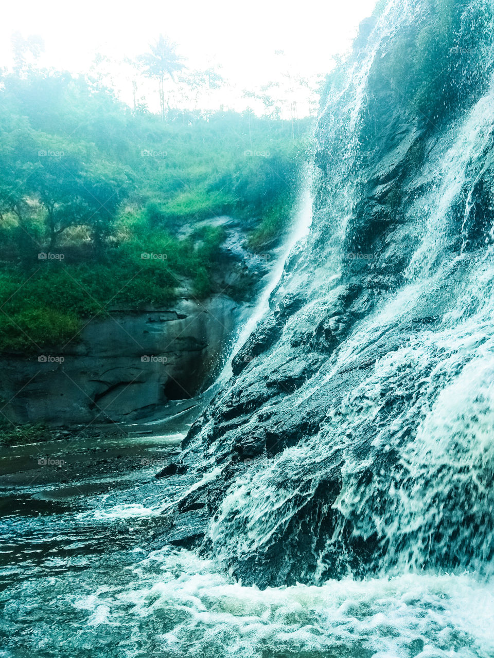 the man with a mission