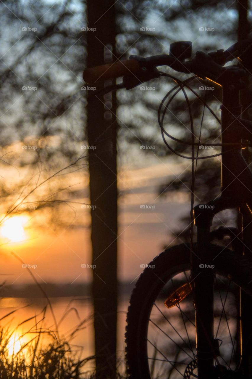 evening biking. I love my camera and my bike