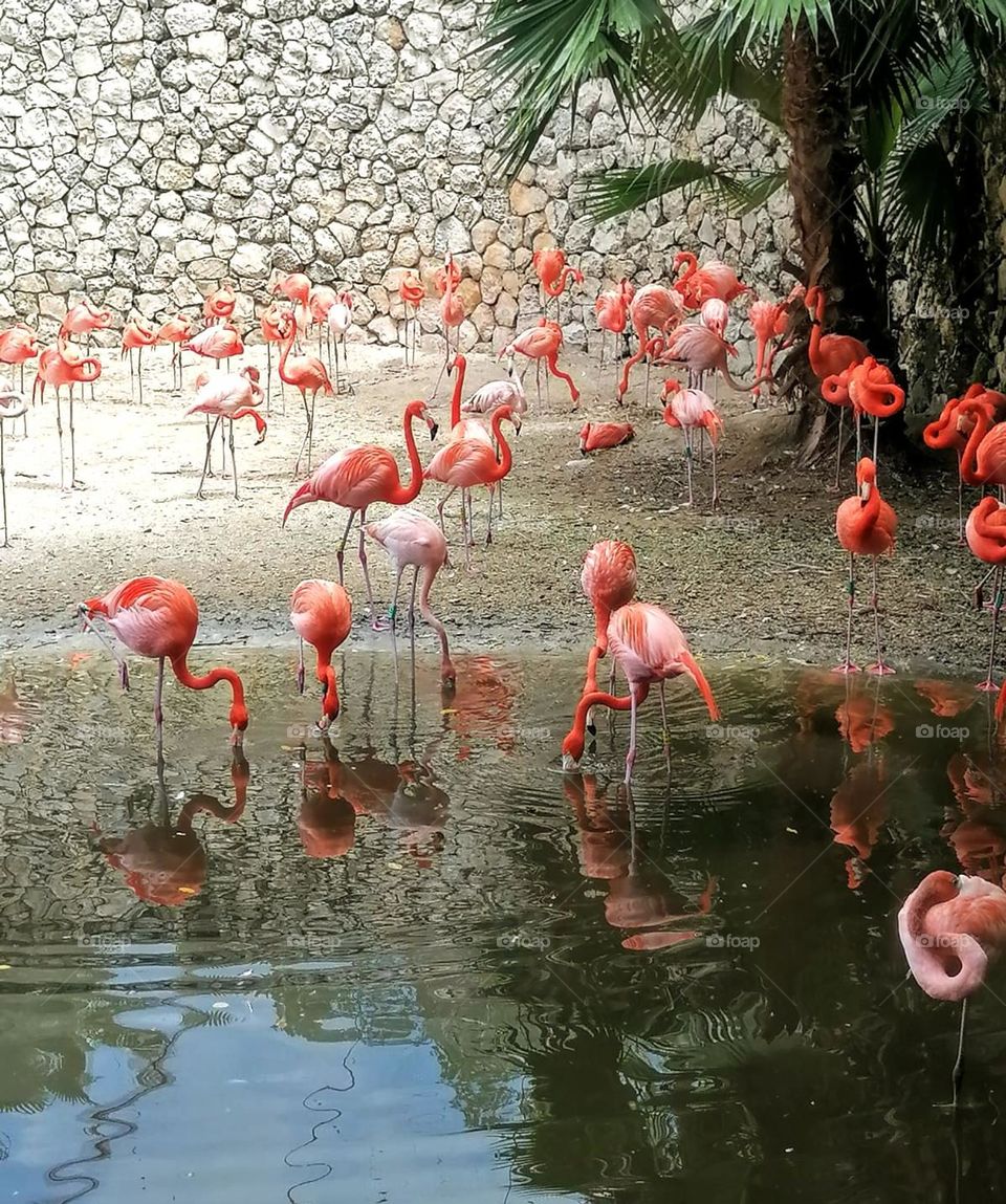 Lesson 1: Join First Mission