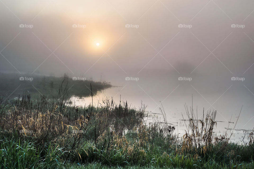 Most kolejowy na rzece Odra, Poland, Stany