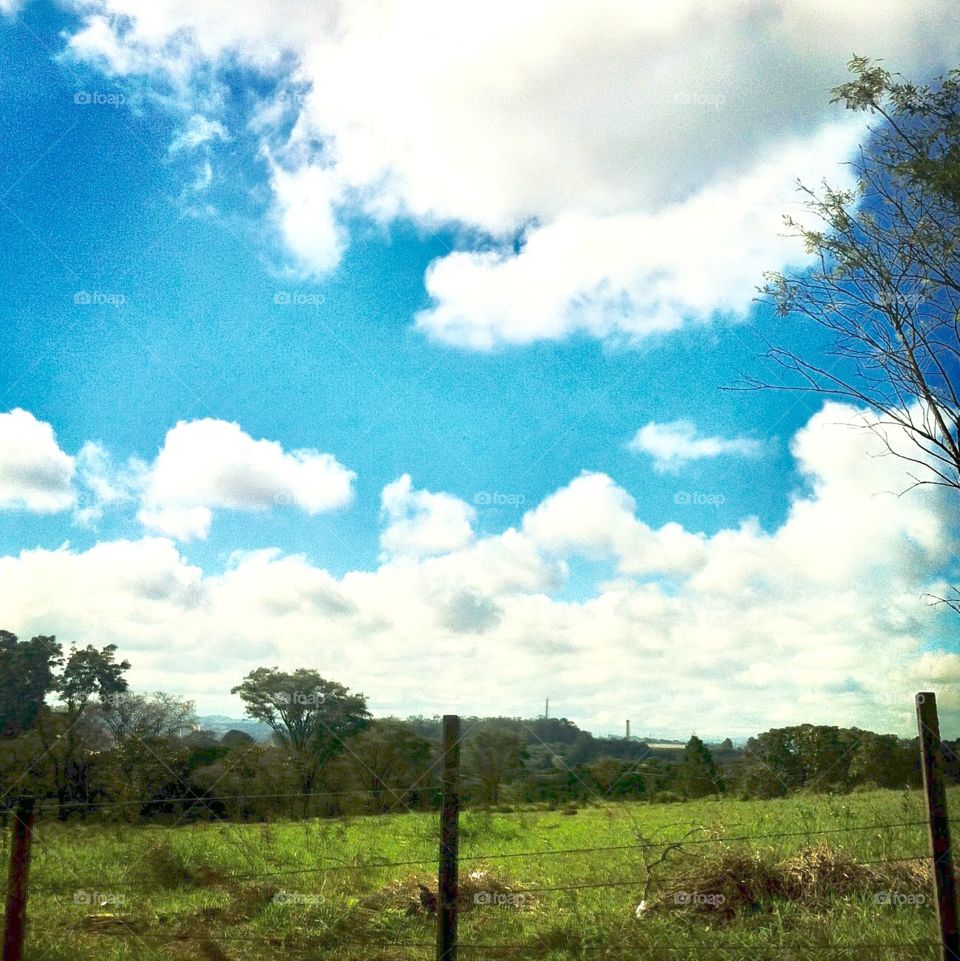 Uma paisagem bem bacana do campo. Como não se inspirar com a beleza da natureza?