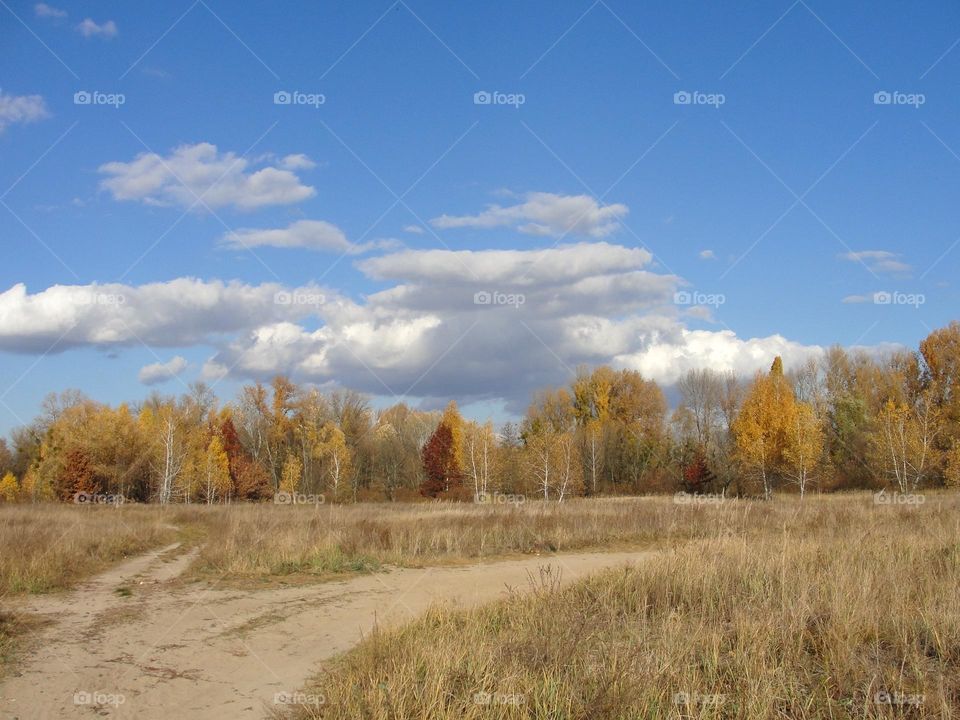 Autumn landscape