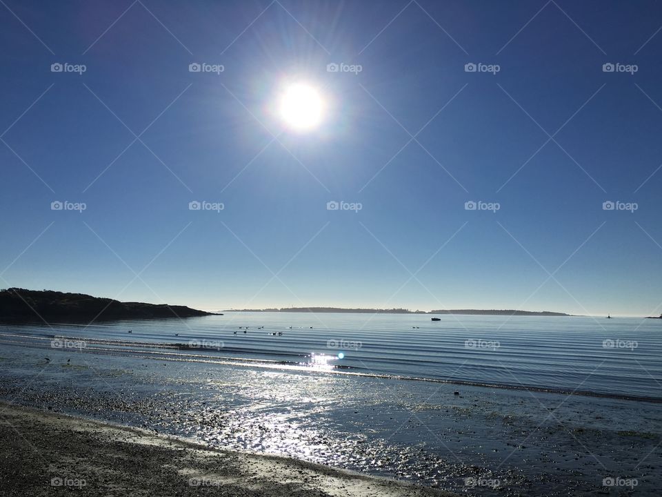 Scenic view of beach