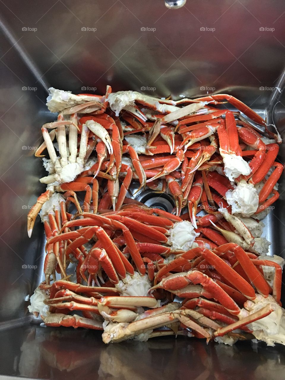 Snow crabs