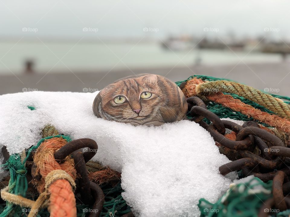 Stone cat on a fishing net, harbor of San Benedetto del Tronto, Italy